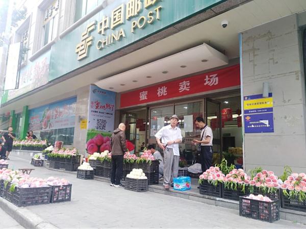 新葡的京集团3512vip